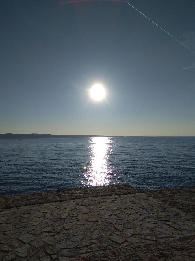 Villa Zora, Starigrad Paklenica, 塞利讷 外观 照片