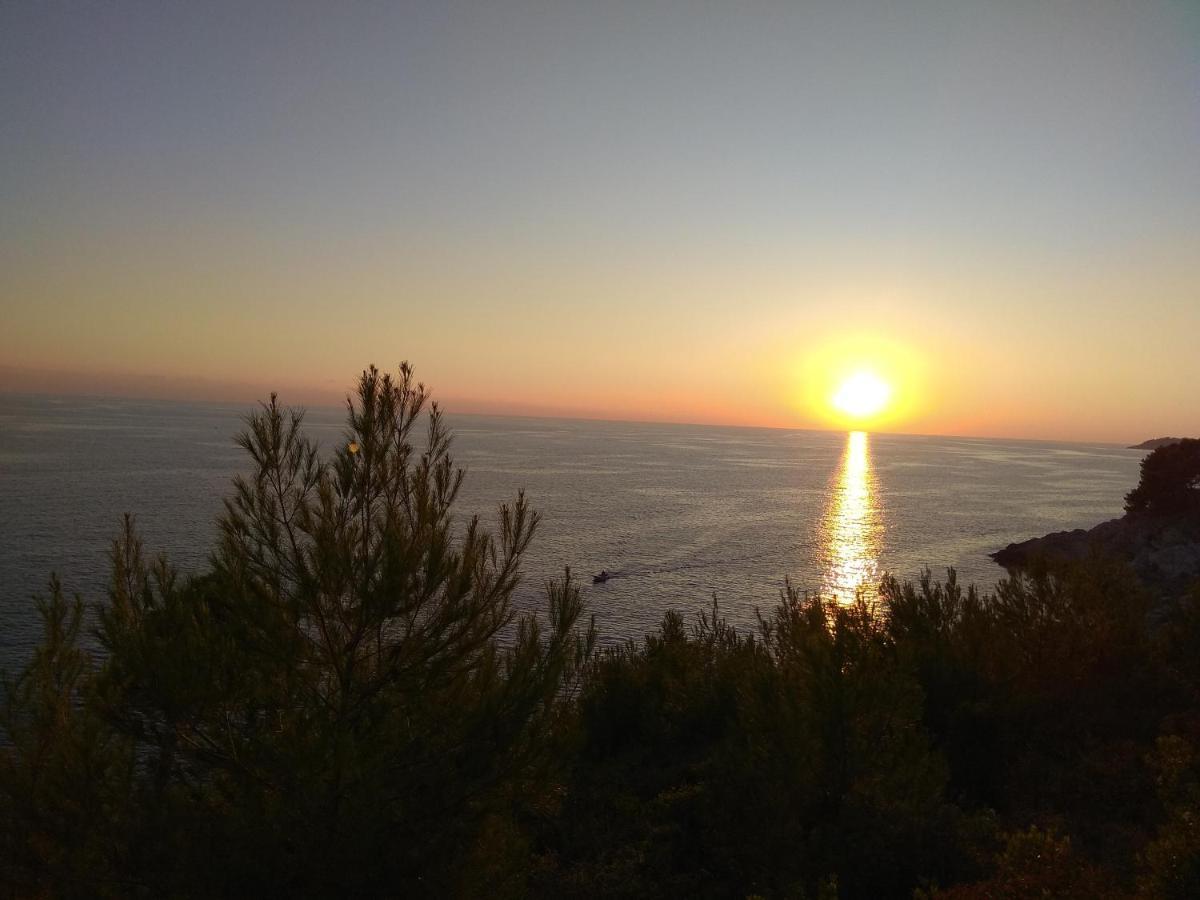 Villa Zora, Starigrad Paklenica, 塞利讷 外观 照片