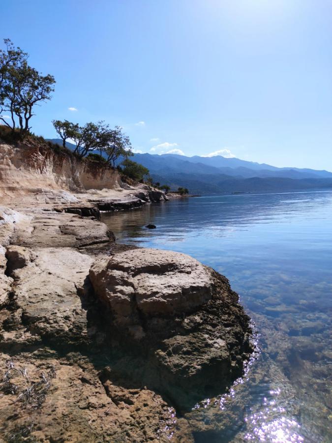 Villa Zora, Starigrad Paklenica, 塞利讷 外观 照片
